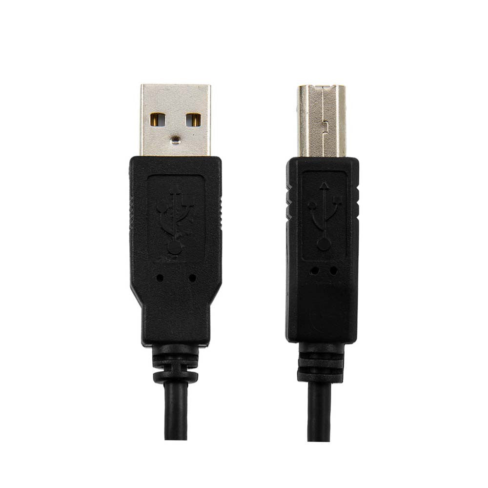 Cable USB A/B Printer 6ft